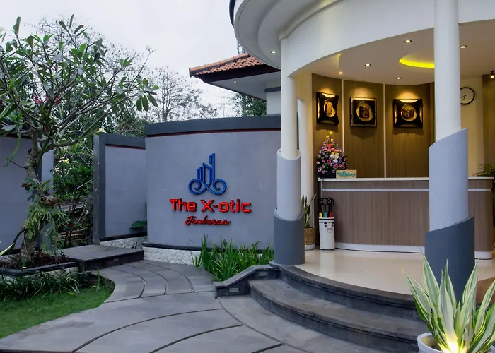 The Xotic Bali